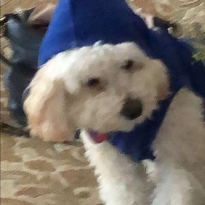 Meet your Posher, Jonathan